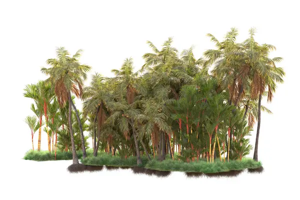 Arka planda izole edilmiş tropik orman düzeni. 3d görüntüleme - illüstrasyon