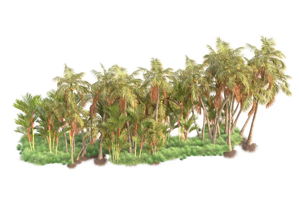 背景に隔離された熱帯林の配置 3Dレンダリング イラスト — ストック写真