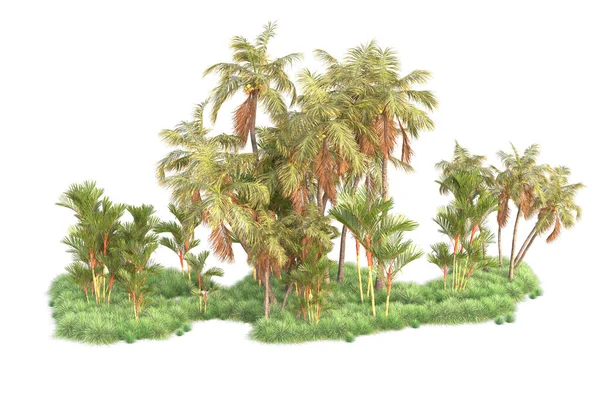 Trópusi Erdő Elrendezése Elkülönítve Háttérben Renderelés Illusztráció — Stock Fotó