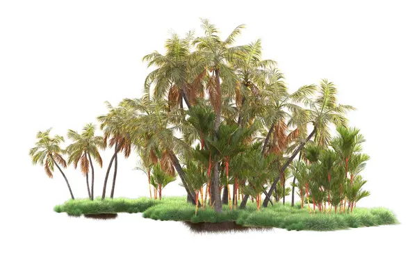 Тропический Лес Расположение Изолированы Заднем Плане Рендеринг Иллюстрация — стоковое фото
