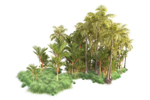 Disposizione Della Foresta Tropicale Isolata Sullo Sfondo Rendering Illustrazione — Foto Stock