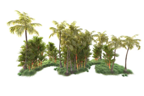 Tropical Forest Arrangement Isolated Background Rendering Illustration — Stock Photo, Image