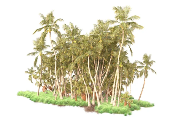 Rendu Palmiers Arbustes Décoration Jardin Sur Fond Blanc — Photo