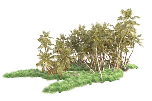 Vykreslené Palmy Zahradní Dekorace Keře Bílém Pozadí — Stock fotografie