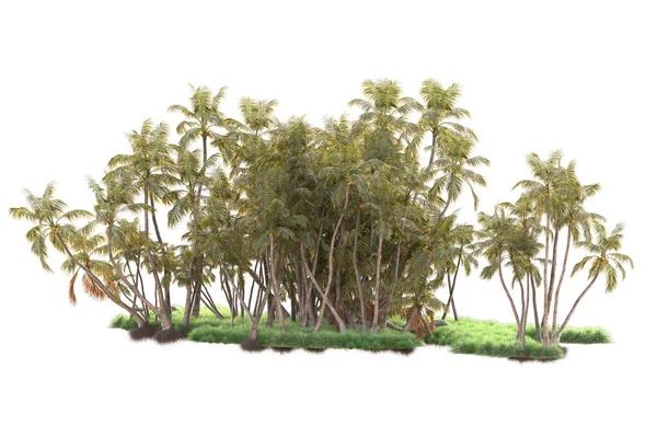Τρισδιάστατα Φοινικόδεντρα Και Θάμνοι Διακόσμησης Κήπου Λευκό Φόντο — Φωτογραφία Αρχείου