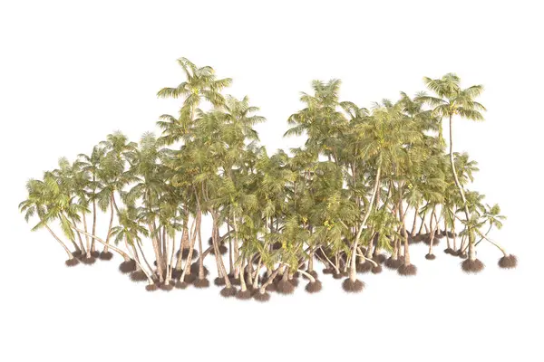3D在白色背景上渲染棕榈树和花园装饰灌木 — 图库照片