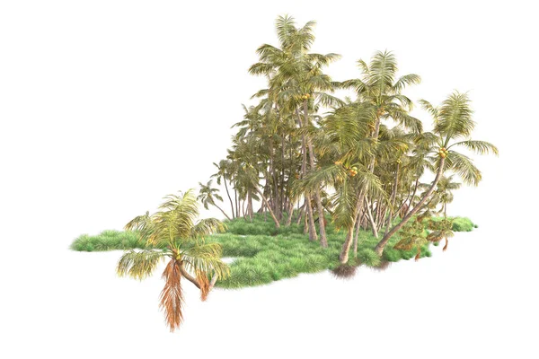 3Dは白い背景のヤシの木および庭の装飾低木をレンダリングしました — ストック写真
