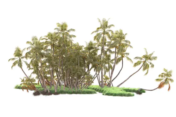 Renderowane Palmy Krzewy Dekoracyjne Ogród Białym Tle — Zdjęcie stockowe