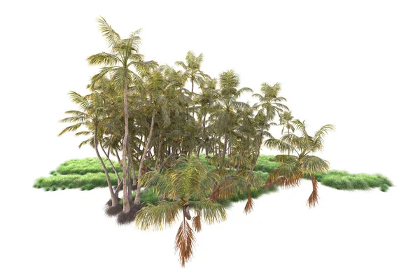 Gerenderte Palmen Und Gartendekorationssträucher Auf Weißem Hintergrund — Stockfoto