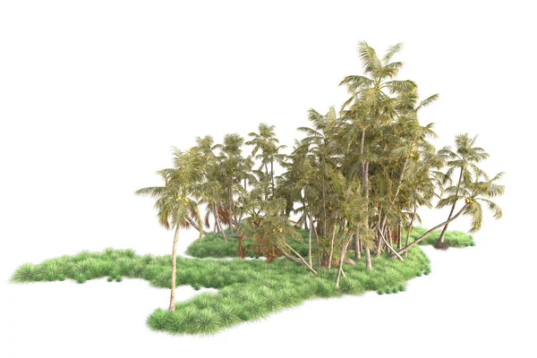 Rendered Palm Trees Garden Decoration Shrubs White Background — Stock Photo, Image