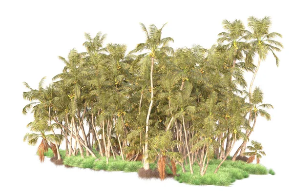 Işlemeli Palmiye Ağaçları Bahçe Süslemeleri Beyaz Arka Planda — Stok fotoğraf