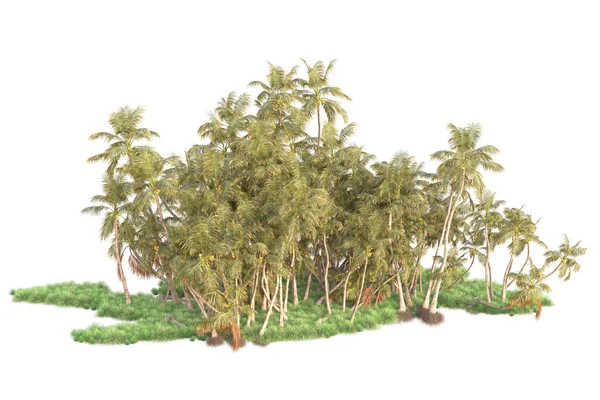 Işlemeli Palmiye Ağaçları Bahçe Süslemeleri Beyaz Arka Planda — Stok fotoğraf