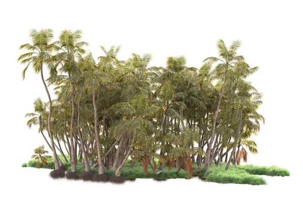 Renderizado Palmeras Arbustos Decoración Jardín Sobre Fondo Blanco — Foto de Stock