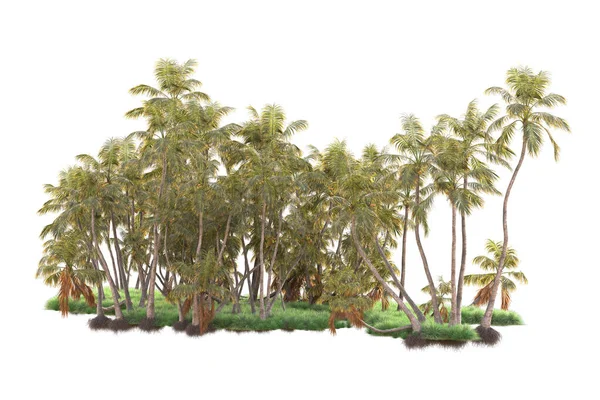 Renderizado Palmeras Arbustos Decoración Jardín Sobre Fondo Blanco —  Fotos de Stock