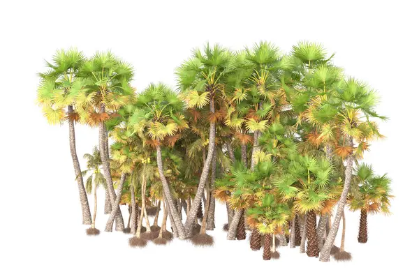 Gerenderte Palmen Und Gartendekorationssträucher Auf Weißem Hintergrund — Stockfoto