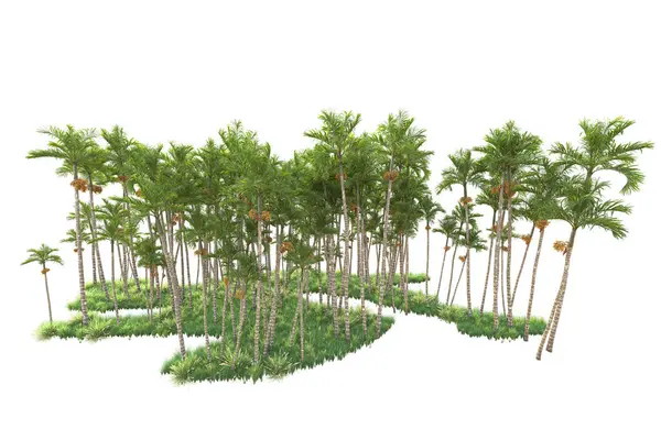 Gesmolten Palmbomen Tuin Decoratie Struiken Een Witte Achtergrond — Stockfoto