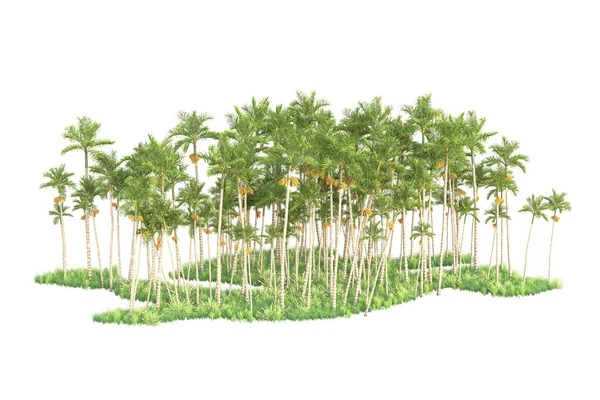 3Dは白い背景のヤシの木および庭の装飾低木をレンダリングしました — ストック写真