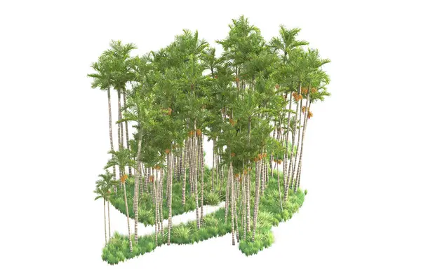 Rendered Palm Trees Garden Decoration Shrubs White Background — Stock Photo, Image