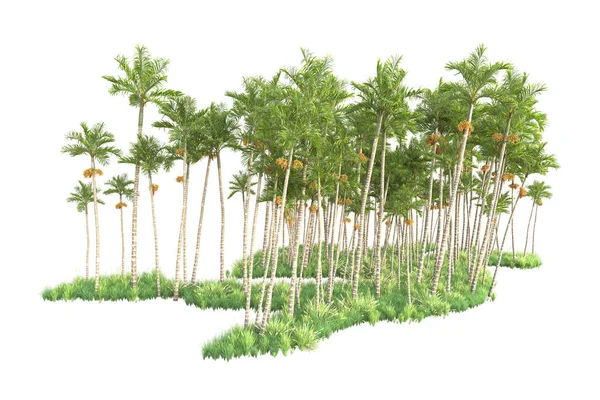 Renderizado Palmeras Arbustos Decoración Jardín Sobre Fondo Blanco — Foto de Stock