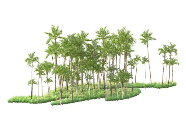 Gesmolten Bomen Tuin Decoratie Struiken Een Witte Achtergrond — Stockfoto
