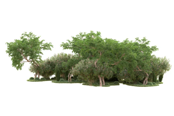 Utsmälta Träd Och Trädgård Dekoration Buskar Vit Bakgrund — Stockfoto
