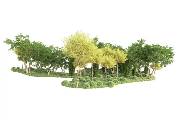 Arbres Rendus Arbustes Décoration Jardin Sur Fond Blanc — Photo