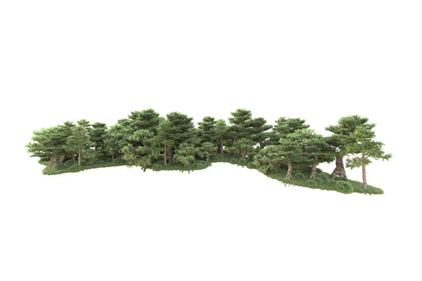Τετηγμένα Δέντρα Και Θάμνοι Διακόσμησης Κήπου Λευκό Φόντο — Φωτογραφία Αρχείου