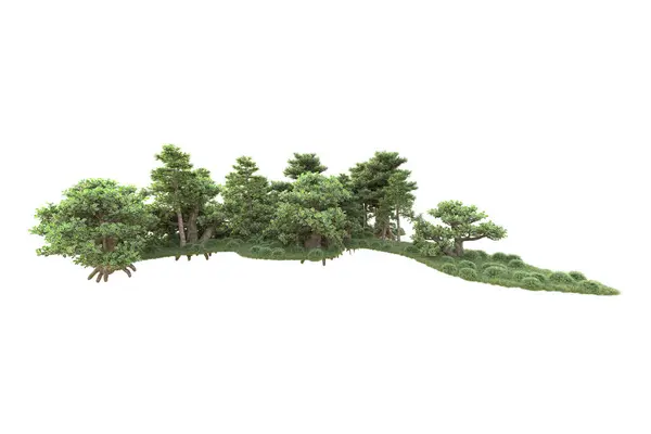Ağaçlar Bahçe Süslemeleri Beyaz Arka Planda — Stok fotoğraf