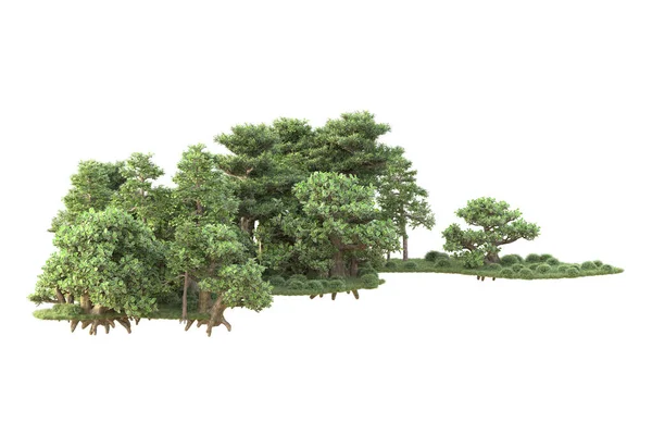 Árvores Renderizadas Arbustos Decoração Jardim Fundo Branco — Fotografia de Stock