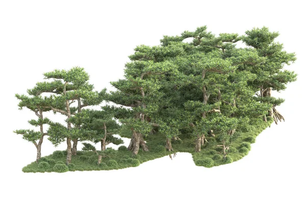 Gerenderte Bäume Und Gartendekorationssträucher Auf Weißem Hintergrund — Stockfoto