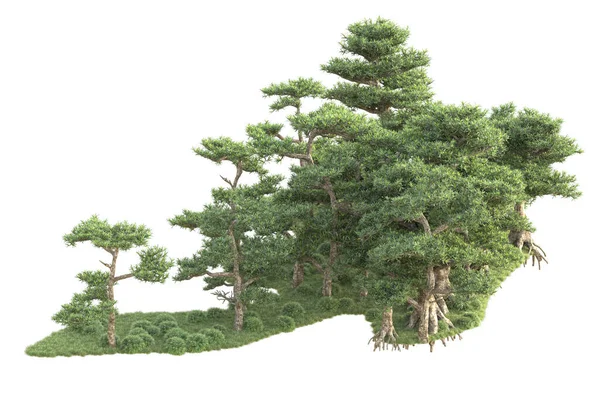 Pohon Diberikan Dan Taman Dekorasi Semak Pada Latar Belakang Putih — Stok Foto