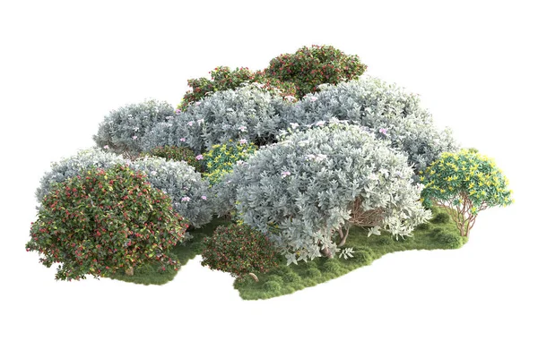 Arbres Rendus Arbustes Décoration Jardin Sur Fond Blanc — Photo