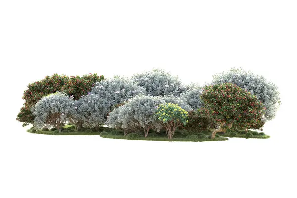 Árboles Renderizados Arbustos Decoración Jardín Sobre Fondo Blanco —  Fotos de Stock