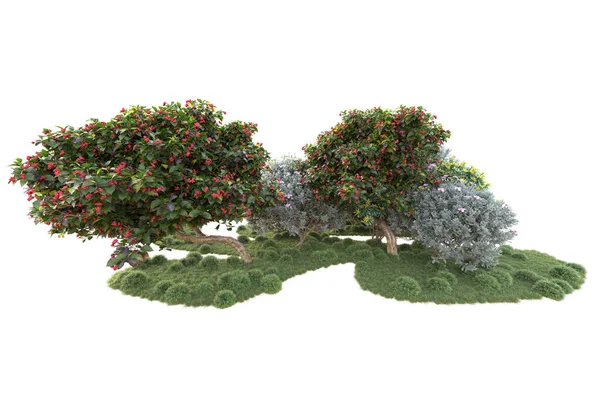 3Dレンダリングされた木と庭の装飾が白い背景に低木 — ストック写真