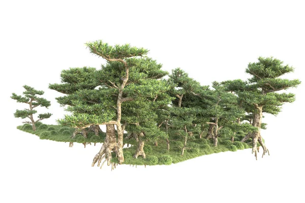 Renderowane Drzewa Krzewy Dekoracyjne Ogród Białym Tle — Zdjęcie stockowe