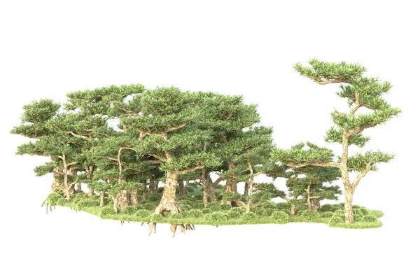 Utsmälta Träd Och Trädgård Dekoration Buskar Vit Bakgrund — Stockfoto