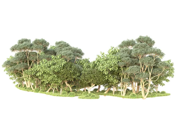 Árboles Renderizados Arbustos Decoración Jardín Sobre Fondo Blanco — Foto de Stock