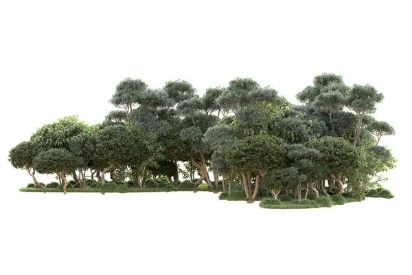 배경에 렌더링 나무와 — 스톡 사진