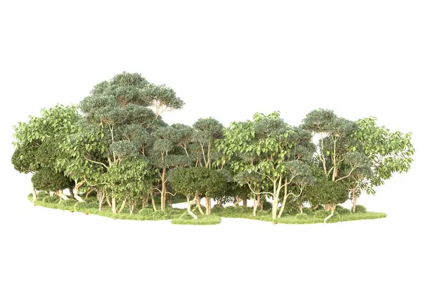 Зображені Дерева Садові Прикраси Чагарників Білому Тлі — стокове фото