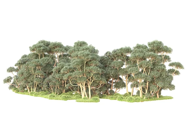 Vykreslené Stromy Zahradní Dekorace Keře Bílém Pozadí — Stock fotografie