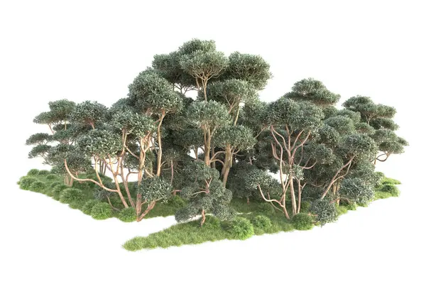 Gesmolten Bomen Tuin Decoratie Struiken Een Witte Achtergrond — Stockfoto