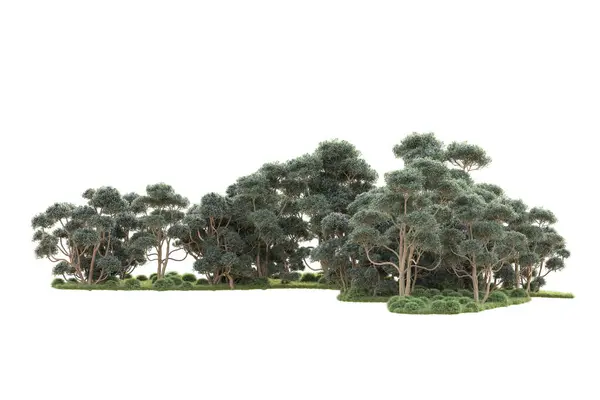 배경에 렌더링 나무와 — 스톡 사진