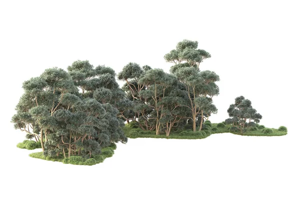 Árvores Renderizadas Arbustos Decoração Jardim Fundo Branco — Fotografia de Stock