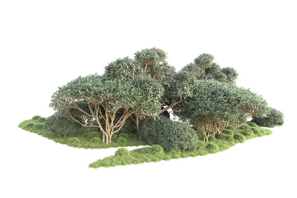 3D棵树和花园装饰灌木 白色背景 — 图库照片