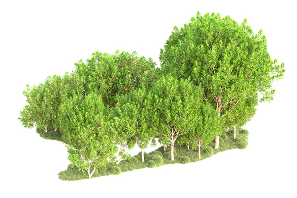 Vykreslené Stromy Zahradní Dekorace Keře Bílém Pozadí — Stock fotografie