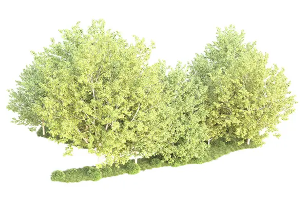 Zielone Krzewy Odizolowane Białym Tle Renderowanie Ilustracja — Zdjęcie stockowe