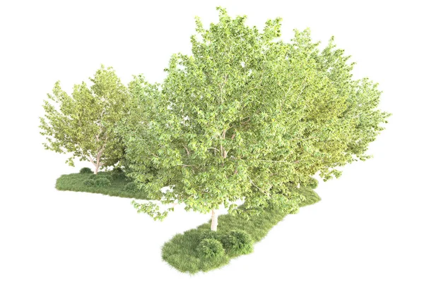 Grüne Büsche Isoliert Auf Weißem Hintergrund Darstellung Illustration — Stockfoto