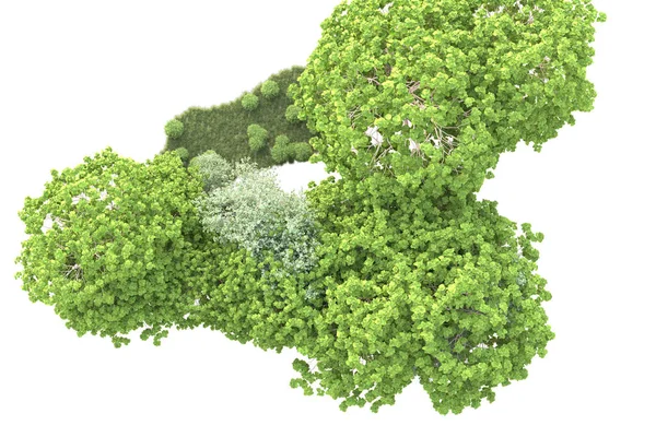 Groene Struiken Geïsoleerd Witte Achtergrond Weergave Illustratie — Stockfoto