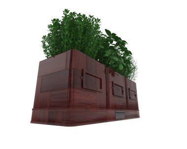 Beyaz arka plandaki saksılara baharat koyuyor. 3d görüntüleme - illüstrasyon