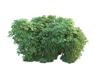 Beyaz arka planda yeşil arazi izole edilmiş. 3d görüntüleme - illüstrasyon